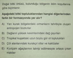 Doğal bitki örtüsü, bulunduğu bölgenin iklim koşullarına
göre biçimlenir.
Aşağıdaki bitki topluluklarından hangisi diğerlerinden
farklı bir formasyonda yer alır?
A) Yarı kurak bölgelerdeki ormanların tahribiyle oluşan
antropojen bozkırlar
B) Dağların yüksek kesimlerindeki dağ çayırları
C) Tropikal kuşaktaki uzun boylu gür ot toplulukları
D) Çöl alanlarındaki kurakçıl otlar ve kaktüsler
E) Kızılçam ağaçlarının tahrip edilmesiyle ortaya çıkan
makiler
B4
