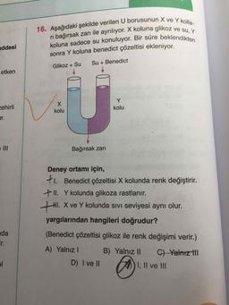 Aşağıdaki şekilde verilen U borusunun X ve Y kolları bağırsak zarı ile ayrılıyor. X koluna glikoz ve su, Y
koluna sadece su konuluyor. Bir süre beklendikten sonra Y koluna benedict çözeltisi ekleniyor.
Deney ortamı için,
I. Benedict çözeltisi X kolunda renk değiştirir.
II. Y kolunda glikoza rastlanır.
III. X ve Y kolunda sıvı seviyesi aynı olur.
yargılarından hangileri doğrudur?
(Benedict çözeltisi glikoz ile renk değişimi verir.)
A) Yalnız I
B) Yalnız II
C) Yalnız III
D) I ve II
E)I, Il ve II