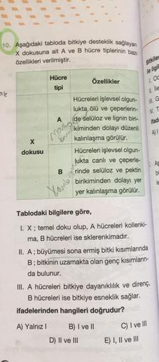 10. Aşağıdaki tabloda bitkiye desteklik sağlayan
X dokusuna ait A ve B hücre tiplerinin baz
özellikleri verilmiştir.
ne ilgi
Hücre
Özellikler
tipi
a
Х
Hücreleri işlevsel olgun-
lukta ölü ve çeperlerin-
de selüloz ve lignin biri-
kiminden dolayı düzenli
kal