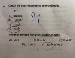 9. Olgun bir sinir hücresinin çekirdeğinde;
I. ATP,
II. protein,
ill. mRNA,
IV. TRNA,
V. DNA
moleküllerinden hangileri sentezlenmez?
A) I ve II B) II ve IV C) III ve IV
D) I, II ve V E) I IV ve V
