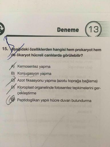 Deneme
15. Wşağıdaki özelliklerden hangisi hem prokaryot hem
de ökaryot hücreli canlılarda görülebilir?
AKemosentez yapma
B) Konjugasyon yapma
Azot fiksasyonu yapma (azotu toprağa bağlama)
DI Kloroplast organelinde fotosentez tepkimelerini ger-
çekleştirme