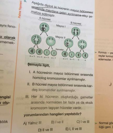 Palme Yayınevi
Aşağıda diploit iki hücrenin mayoz bölünmesi
Strasında meydana gelen ayrılmama olayı şe-
matize edilmiştir.
A hücresi
B hücresi
aynı feno-
Mayoz 1
Mayoz II
u olarak
memek-
Gametler
allo 00 OH OOO
n+1
+1
> Kırmızı - ye
reyler kırmız
edemezler