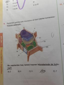 C)
Il ve II
D)
I ve II
Il ve III
I ve II
11. C
E)
8. Aşağıdaki şekilde bitki hücresine ait bazryapılar-numaralan-
dırılarak verilmiştir.
in
VI
VII
II
IIIA
IV
Bu yapılardan kaç tanesi hayvan hücrelerinde de bulu-
nur?
A) 3
B) 4
C) 5
E) 7
BÖLÜM - 1
Hücre Yapısı ve Organelleri
