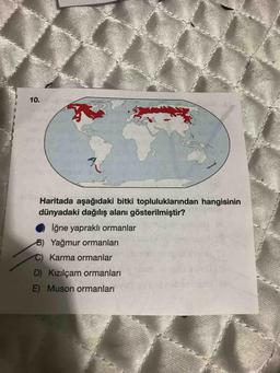 10.
Haritada aşağıdaki bitki topluluklarından hangisinin
dünyadaki dağılış alanı gösterilmiştir?
İğne yapraklı ormanlar
B) Yağmur ormanları
C) Karma ormanlar
D) Kızılçam ormanları
E) Muson ormanları