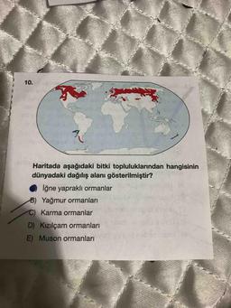 10.
Haritada aşağıdaki bitki topluluklarından hangisinin
dünyadaki dağılış alanı gösterilmiştir?
İğne yapraklı ormanlar
B) Yağmur ormanları
C) Karma ormanlar
D) Kızılçam ormanları
E) Muson ormanları
