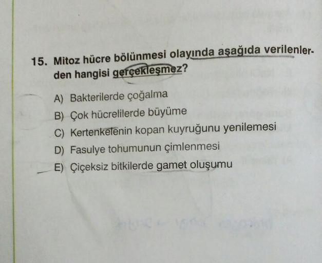 15. Mitoz hücre bölünmesi olayında aşağıda verilenler-
den hangisi gerçekleşmez?
A) Bakterilerde çoğalma
B) Çok hücrelilerde büyüme
C) Kertenkelênin kopan kuyruğunu yenilemesi
D) Fasulye tohumunun çimlenmesi
E) Çiçeksiz bitkilerde gamet oluşumu