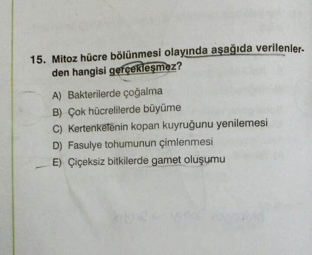 15. Mitoz hücre bölünmesi olayında aşağıda verilenler-
den hangisi gerçekleşmez?
A) Bakterilerde çoğalma
B) Çok hücrelilerde büyüme
C) Kertenkelênin kopan kuyruğunu yenilemesi
D) Fasulye tohumunun çimlenmesi
E) Çiçeksiz bitkilerde gamet oluşumu
