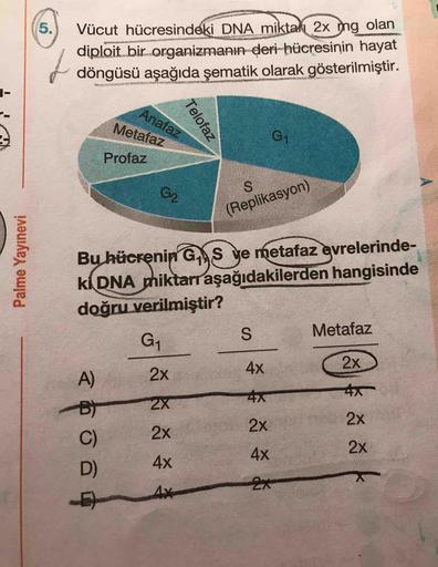 5.
Vücut hücresindeki DNA mikta 2x mg olan
diploit bir organizmanın deri-hücresinin hayat
döngüsü aşağıda şematik olarak gösterilmiştir.
Anafaz
Metafaz
G1
Profaz
G2
S.
(Replikasyon)
Bu hücrenin GS ve metafaz evrelerinde-
ki DNA miktarraşağıdakilerden hangi