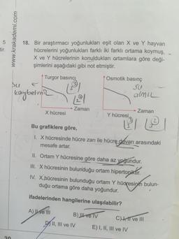 18. Bir araştırmacı yoğunlukları eşit olan X ve Y hayvan
hücrelerini yoğunlukları farklı iki farklı ortama koymuş,
X ve Y hücrelerinin konuldukları ortamlara göre deği-
tir.
şimlerini aşağıdaki gibi not etmiştir.
Turgor basıncI
Osmotik basınç
SU
almu
betmi2
Zaman
→ Zaman
X hücresi
Y hücresi
Bu grafiklere göre,
I. X hücresinde hücre zarı ile hücre duvarı arasındaki
mesafe artar.
II. Ortam Y hücresine göre daha az yoğundur.
III. 'X hücresinin bulunduğu ortam hipertonikur.
IV. X.hücresinin bulunduğu ortam Y hüoresinin bulun-
duğu ortama göre daha yoğundur.
ifadelerinden hangilerine ulaşılabilir?
A) II ve lII
B) ve Iv
C)J,IT ve III
DII, III ve IV
E) I, II, III ve IV
www.krakademi.com
