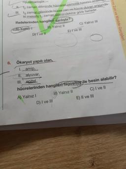 rişi olmamıştır.
2 zaman diliminde hücrenin osmotik basinciaz
III. ta zaman diliminde hücre zarı ve hücre duvarı arasında-
ki mesafe t, zaman.dilimindekine göre fazladır.
ifadelerinden hangilefi yanlıştır?
ALYalnz 1
B) Yalnız II
C) Yalnız II
D)T ve II
E)t ve III
Ökaryot yapılı olan,
I. amip,
II. alyuvar,
6.
III.epitel
hücrelerinden hangileri fagositoz ile besin alabilir?
A) Yalnız I
B Yalnız II
C) I ve II
D) I ve III
E) Il ve lII
icre Zarı ve Madde Geçişleri