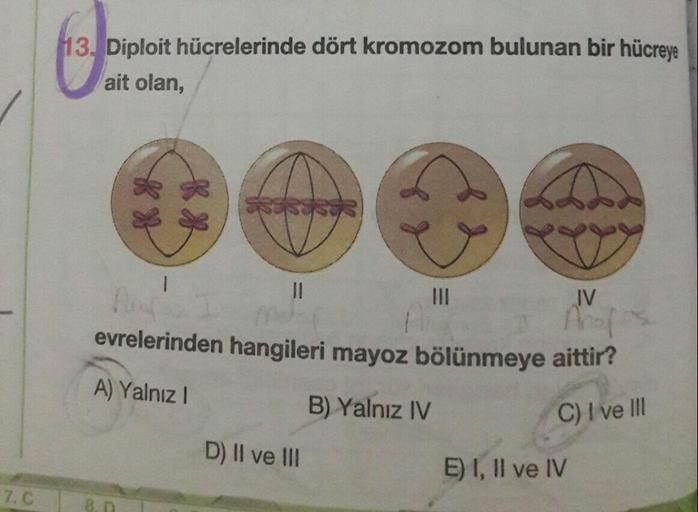 13. Diploit hücrelerinde dört kromozom bulunan bir hücreye
ait olan,
III
IV
evrelerinden hangileri mayoz bölünmeye aittir?
A) Yalnız I
B) Yalnız IV
C)I ve II
D) II ve III
E) I, Il ve IV
7. C