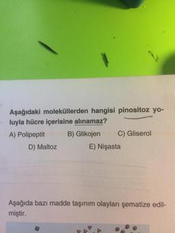 Aşağıdaki moleküllerden hangisi pinositoz yo-
luyla hücre içerisine alınamaz?
A) Polipeptit
B) Glikojen
C) Gliserol
D) Maltoz
E) Nişasta
Aşağıda bazı madde taşınım olayları şematize edil-
miştir.
