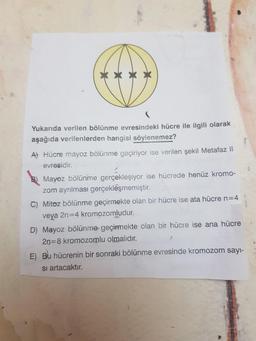 Yukarıda verilen bölünme evresindeki hücre ile ilgili olarak
aşağıda verilenlerden hangisi söylenemez?
A Hücre mayoz bölünme geçiriyor ise verilen şekil Metafaz II
evresidir.
Mayoz bölünme gerçekleşiyor ise hücrede henüz kromo-
zom ayrılması gerçekleşmemiştir.
C) Mitoz bölünme geçirmekte olan bir hücre ise ata hücre n=4
veya 2n=4 kromozomludur.
D) Mayoz bölünme geçirmekte olan bir hücre ise ana hücre
2n=8 kromozomlu olmalıdır.
E) Bu hücrenin bir sonraki bölünme evresinde kromozom sayı-
si artacaktır.