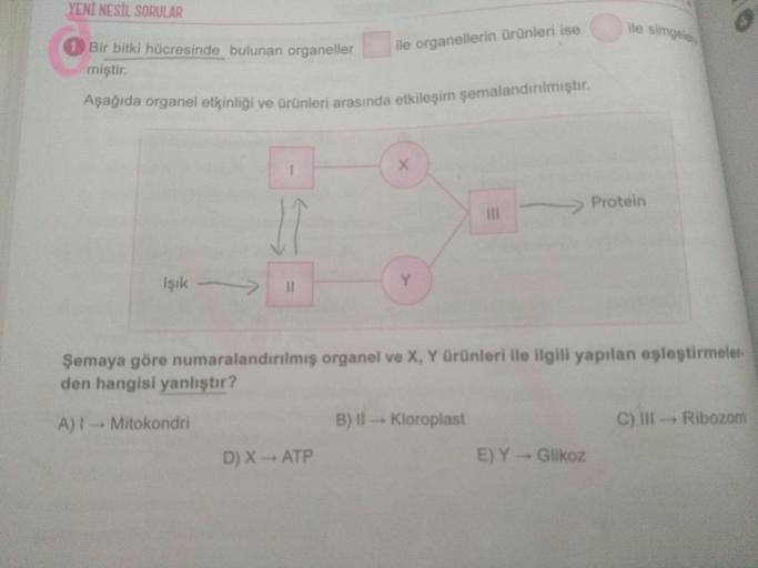 YENİ NESİL SORULAR
ile simgele
Bir bitki hücresinde bulunan organeller
ile organellerin ürünleri ise
miştir.
Agagida organel etkinliği ve ürünleri arasında etkileşim şemalandırılmıştır.
Protein
II
İşık
II
Y.
Şemaya göre numaralandırılmış organel ve X, Y ür