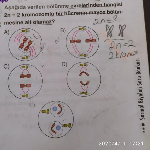 Aşağıda verilen bölünme evrelerinden hangisi
2n = 2 kromozomlu bir hücrenin mayoz bölün-
mesine ait olamaz?
an=2
A)
B)
2n=2
2komos
C)
D)
E)
***.
2020/4/11 17:21
Sarmal Biyoloji Soru Bankası