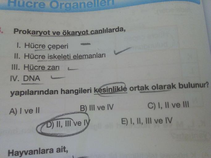 Hücre Organel . Prokaryot ve ökaryot.canlılarda, I…. Biyoloji Hücre Organel . Prokaryot ve ökaryot.canlılarda, I…. Biyoloji