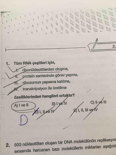 2.
1. Tüm RNA çeşitleri için,
ribonükleotitlerden oluşma,
11. protein sentezinde görev yapma,
1. ribozomun yapısına katılma,
W. transkripsiyon ile üretilme
özelliklerinden hangileri ortaktır?
'A) I ve II
B) I ve IV
C) Il ye lIl
1, Il ve IV
EI, II, III ve V