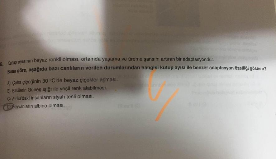 e Kutup ayısının beyaz renkli olması, ortamda yaşama ve üreme şansını artıran bir adaptasyondur.
Buna göre, aşağıda bazı canlıların verilen durumlarından hangisi kutup ayısı ile benzer adaptasyon özelliği gösterir?
A) Çuha çiçeğinin 30 °C'de beyaz çiçekler