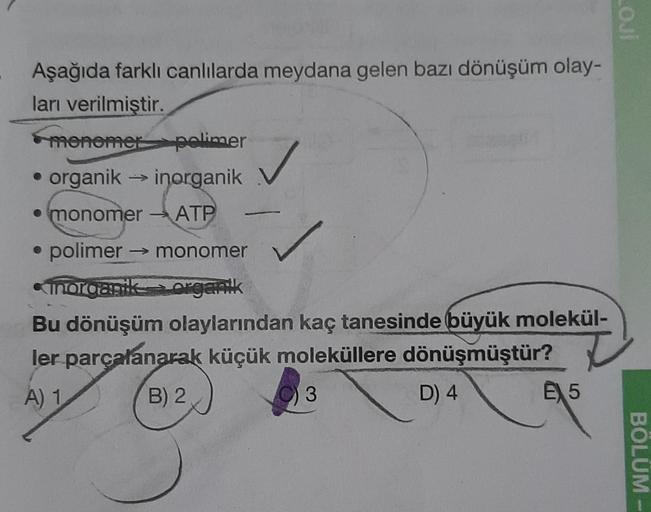 Aşağıda farklı canlılarda meydana gelen bazı dönüşüm olay-
ları verilmiştir.
menomer polimer
• organik → inorganik
• monomer ATP
polimer
→ monomer
morganikorganik
Bu dönüşüm olaylarından kaç tanesinde büyük molekül-
ler parçalanarak küçük moleküllere dönüş