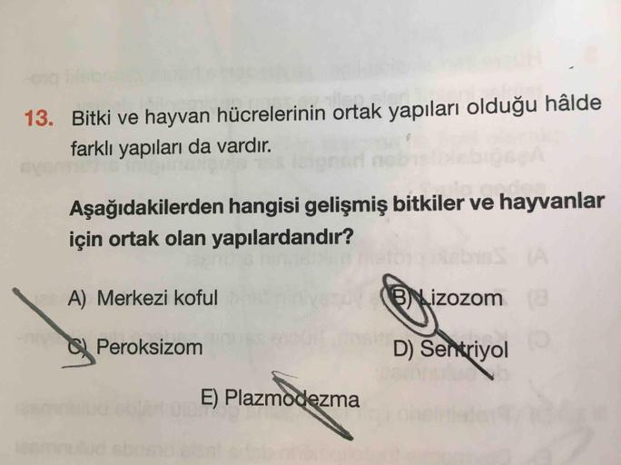 13. Bitki ve hayvan hücrelerinin ortak yapıları olduğu hâlde
farklı yapıları da vardır.
Aşağıdakilerden hangisi gelişmiş bitkiler ve hayvanlar
için ortak olan yapılardandır?
(A
A) Merkezi koful
Bizozom
(8
Peroksizom
D) Sentriyol
E) Plazmodezma