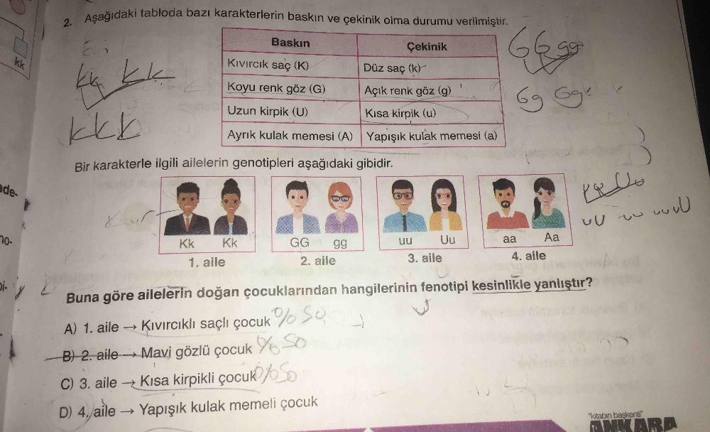 2. Aşağıdaki tabloda bazı karakterlerin baskın ve çekinik olma durumu verilmiştir.
Baskın
Çekinik
kk
KIvircık saç (K)
Düz saç (k)
Koyu renk göz (G)
Açık renk göz (g)
69 Gge
Uzun kirpik (U)
Kısa kirpik (u)
Ayrık kulak memesi (A) Yapışık kulak memesi (a)
Bir