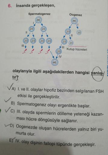 6. İnsanda gerçekleşen,
Spermatogenez
Oogenez
46
46
23
(23
23
23
23
23
II
Kutup hücreleri
(23
IV
(46
olaylarıyla ilgili aşağıdakilerden hangisi yanlış
tır?
A) I. ve II. olaylar hipofiz bezinden salgılanan FSH
etkisi ile gerçekleştirilir.
B) Spermatogenez o