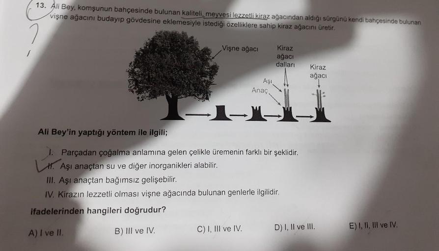 13. Ali Bey, komşunun bahçesinde bulunan kaliteli, meyvesi lezzetli kiraz ağacından aldığı sürgünü kendi bahçesinde bulunan
vişne ağacını budayıp gövdesine eklemesiyle istediği özelliklere sahip kiraz ağacını üretir.
Vişne ağacı
Kiraz
ağacı
dalları
Kiraz
a