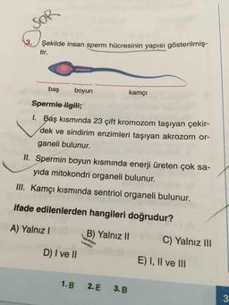 3.
Şekilde insan sperm hücresinin yapısı gösterilmış-
tir.
baş
boyun
kamçı
Spermle ilgili;
I. Báş kısmında 23 çift kromozom taşıyan çekir-
dek ve sindirim enzimleri taşıyan akrozom or-
ganeli bulunur.
II. Spermin boyun kısmında enerji üreten çok sa-
yıda mitokondri organeli bulunur.
III. Kamçı kısminda sentriol organeli bulunur.
ifade edilenlerden hangileri doğrudur?
A) Yalnız I
B) Yalnız I
C) Yalnız II
D) I ve II
E) I, Il ve II
1.B
2. E 3. B
3
SOR