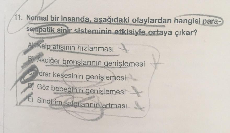 11. Normal bir insanda, aşağıdaki olaylardan hangisi para-
sempatik sinir sisteminin.etkisiyle ortaya çıkar?
AKalp atışının hızlanması
B Akciğer bronşlarının genişlemesi
drar kesesinin genişlemesi
Göz bebeğinin genişlemesi
E) Sindirim salgilarının artması