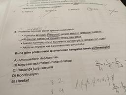 1.
Kolesterolü ölçmer
I1 Kolesterol, insanların beslenme programindan çıkarılmalidır.
. LDL, kolesterol havuzunun kirlilik seviyesi ise HDL bu havuzun aritma sistemidir.
yargılarından hangilerine varılabilir?
A) Yalnız I.
B) Yalniz II.
C) Yalnız IlI.
DI ve IlI.
9. Proteinler biyolojik olarak işlevsel moleküllerdir.
• Yumurta akındaki ovalbumin, gelişen embriyo tarafından kullanılır.
Antikorlar bakteri ve virüsleri etkisiz hale getirir.
Insülin hormonu vücut hücrelerini kandan glikoz almaları için uyarır.
• Aktin ve miyozin kas kasılmasından sorumludur.
Buna göre proteinlerin işlevlerinden hangisine örnek verilmemiştir?
A) Aminoasitlerin depolanması
B) Kimyasal tepkimelerin hızlandırılması
C) Hastalığa karşı koruma
20
D) Koordinasyon
E) Hareket
8.
2.
4 5