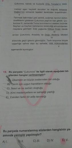 Çukurova, batıda ve kuzeyde Orta Toroslar'ın 3500
1.
metreyi aşan heybetli dorukları ile doğuda Amanos
Dağları'nın ormanlık tepeleri tarafından kuşatılmıştır.
Tarımsal bakımdan çok verimli, sulamalı tarımın bütün
özelliklerini gösteren Çukurova yeşil bir h