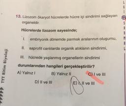 i
13. Lizozom ökaryot hücrelerde hücre içi sindirimi sağlayan
organeldir.
A
Hücrelerde lizozom sayesinde;
R
M
embriyonik dönemde parmak aralarının oluşumu,
A
I.
II. saprofit canlılarda organik atıkların sindirimi,
III. hücrede yaşlanmış organellerin sindirimi
durumlarından hangileri gerçekleştirilir?
A) Yalnız I
B) Yalnız II
C) I ve III
D) II ve III
E)Il ve II
TYT Ritim Biyoloji