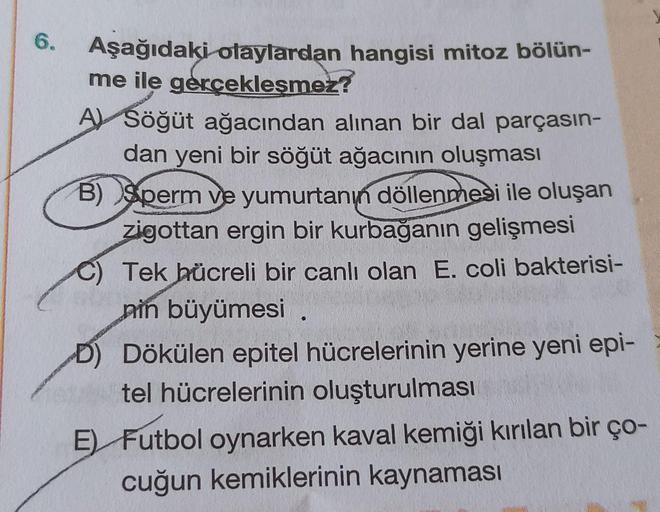 6.
Aşağıdaki otaylardan hangisi mitoz bölün-
me ile gercekleşmez?
A Söğüt ağacından alınan bir dal parçasın-
dan yeni bir söğüt ağacının oluşması
B) Sperm ve yumurtanın döllenmesi ile oluşan
zigottan ergin bir kurbağanın gelişmesi
C) Tek hücreli bir canlı