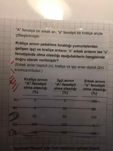 "A" fenotipli bir erkek arı, "a" fenotipli bir kraliçe arıyla
çiftleştirilmiştir.
Kraliçe arının peteklere bıraktığı yumurtalardan
gelişen işçi ve kraliçe arıların “A" erkek arıların ise "a"
fenotipinde olma olasılığı aşağıdakilerin hangisinde
doğru olarak