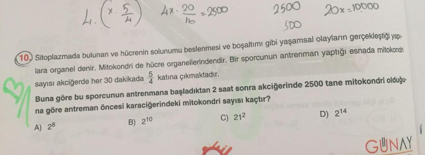 x. 5
Ax.20
-2500
16
2500
20x-10000
500
10,) Sitoplazmada bulunan ve hücrenin solunumu beslenmesi ve boşaltımı gibi yaşamsal olayların gerçekleştiği yapı-
lara organel denir. Mitokondri de hücre organellerindendir. Bir sporcunun antrenman yaptığı esnada mit