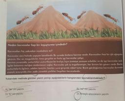 Neden karıncalar hep bir koşuşturma içindedir?
Karıncaları hiç yakından incelediniz mi?
Karıncalar sürü halinde yaşayan böceklerdir. Bir yuvada binlerce karınca vardır. Karıncaları hep bir işle uğraşırken
görürüz. Her an meşguldürler. Ama gerçekte en fazla işçi karıncalar çalışır.
Karınca yuvasında, yumurtaları yumurtlayan bir kraliçe, kışın üremeye yarayan erkekler ve de işçi karıncalar vardır.
İşçiler koloninin varlığını sürdürmesini sağlar. Karıncalar çok iyi örgütlenmiştir, her birinin bir görevi vardır. Bazılan
yumurtalarla ilgilenir, odaları temizler, bazıları yuva girişinde nöbet tutar. Bizim gördüğümüz karıncalar durmadan
yiyecek arayışında olan yada yuvadaki pislikleri boşaltan karıncalardır.
Yukarıdaki metinde görülen yazım yanlışı aşağıdakilerin hangisinden kaynaklanmaktadır?
A) "de" nin yazımı
B) "mi nin yazımı
C) "ki" nin yazımi
D) Birleşik sözcüklerin yazımı