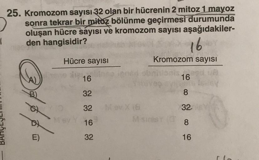 25. Kromozom sayısı 32 olan bir hücrenin 2 mitoz 1 mayoz
sonra tekrar bir mitoz bölünme geçirmesi durumunda
oluşan hücre sayısı ve kromozom sayısı aşağıdakiler-
den hangisidir?
16
Hücre sayısı
Kromozom sayısı
16
16
B)
32
8.
32
Mov X (8
32
Mey
16
Msich
8.
E