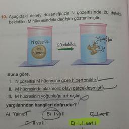 10. Aşağıdaki deney düzeneğinde N çözeltisinde 20 dakika
bekletilen M hücresindeki değişim gösterilmiştir.
N çözeltisi
20 dakika
hücresi
Buna göre,
1. N çözeltisi M hücresine göre hipertoniktir.
II. M hücresinde plazmoliz olayı gerçekleşmiştik
II. M hücresinin yoğunluğu artmıştın
yargılarından hangileri doğrudur?
A) YalnızT
B) I V II
C) Lve tf
D TI ve II
E) I, Il ve-ll
