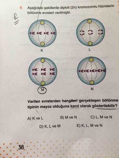 4. Aşağıdaki şekillerde diploit (2n) kromozomlu hücrelerin
bölünme evreleri verilmiştir.
L
M
Verilen evrelerden hangileri gerçekleşen bölünme
tipinin mayoz olduğuna kanit olarak gösterilebilir?
A) K ve L
B) M ve N
C) L, M ve N
D) K, L ve M
E) K, L, M ve N