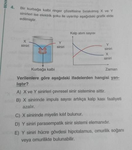 BENIM
4.
Bir kurbağa kalbi ringer çözeltisine bırakılmış X ve Y
sinirleri ise elektrik şoku ile uyarılıp aşağıdaki grafik elde
edilmiştir.
Kalp atım sayısı
siniri
siniri
siniri
siniri
Kurbağa kalbi
Zaman
Verilenlere göre aşağıdaki ifadelerden hangisi yan-