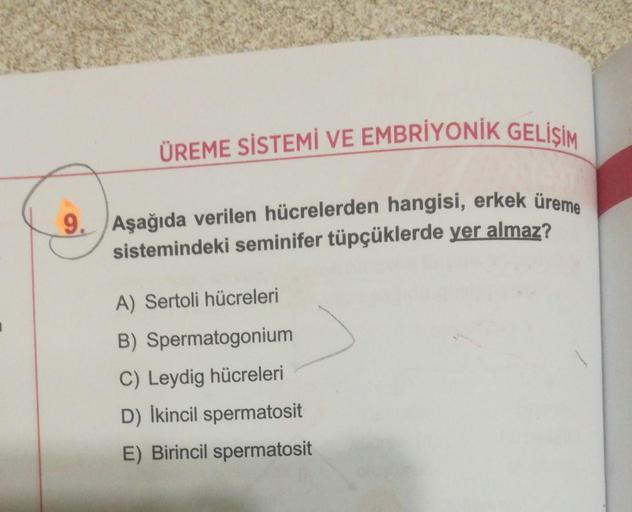 ÜREME SİSTEMİ VE EMBRİYONİK GELİSİM
9. Aşağıda verilen hücrelerden hangisi, erkek üreme
sistemindeki seminifer tüpçüklerde yer almaz?
A) Sertoli hücreleri
B) Spermatogonium
C) Leydig hücreleri
D) İkincil spermatosit
E) Birincil spermatosit
