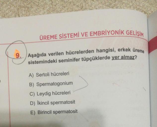 ÜREME SİSTEMİ VE EMBRİYONİK GELİSİM
9. Aşağıda verilen hücrelerden hangisi, erkek üreme
sistemindeki seminifer tüpçüklerde yer almaz?
A) Sertoli hücreleri
B) Spermatogonium
C) Leydig hücreleri
D) İkincil spermatosit
E) Birincil spermatosit
