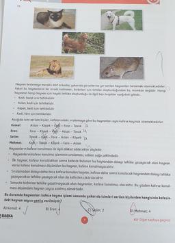 19.
Hayvan beslemeye meraklı dört arkadaş, yukarıda görsellerine yer verilen hayvanları beslemek istemektedirler.
Fakat bu hayvanların bir arada kalmaları, birbirleri için tehlike oluşturduğundan bu, mümkün değildir. Hangi
hayvanın hangi hayvan için hayati tehlike oluşturduğu ile ilgili bazı tespitler aşağıdaki gibidir:
Kedi, tavuk için tehlikelidir.
Aslan, kedi için tehlikelidir.
Köpek, kedi için tehlikelidir.
Kedi, fare için tehlikelidir.
Aşağıda ismi verilen kişiler, kafalarındaki sıralamaya göre bu hayvanları aynı kafese koymak istemektedirler.
Aslan – Köpek – Kedi – Fare - Tavuk D
Fare – Köpek – Kdi – Aslan – Tavuk H
Tavuk – Kedi – Fare - Aslan – Köpek \a
Kemal:
Eren:
Selim:
Mehmet:
Kedi - Tavuk - Kopek – Fare - Aslan
|
Hayvanların kafese konulması ile ilgili dikkat edilecekler şöyledir:
Hayvanların kafese konulma işleminin sıralaması, soldan sağa şeklindedir.
İlk hayvan, kafese konulduktan sonra kafeste bulunan bu hayvandan dolayı tehlike yaşayacak olan hayvan
varsa kafese konulması düşünülen bu hayvan, kafese konulmayacaktır.
e1
Sıralamadan dolayı daha önce kafese konulan hayvan, kafese daha sonra konulacak hayvandan dolayı tehlike
yaşayacaksa tehlike yaşayacak olan da kafesten çıkarılacaktır.
Sonuçta birbirine tehlike yaşatmayacak olan hayvanlar, kafese konulmuş olacaktır. Bu yüzden kafese konul-
ması düşünülen hayvan sayısı azalmış olmaktadır.
Bu durumda hayvanları kafese koyma işlemi sonunda yukarıda isimleri verilen kişilerden hangisinin kafesin-
deki hayvan sayısı yanlış verilmiştir?
A) Kemal: 4
B) Eren: 4
C) Selim: 2
D) Mehmet: 4
BAŞKA
YAYINCILIK
7
E Diğer sayfaya geçiniz.