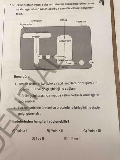 15. Glikoprotein yapılı salgıların üretim sürecinde görev alan
farklı organellerin rolleri aşağıda şematik olarak görülmek-
tedir.
Aminoasit
Glikoz
Hücre zarı
Ribozomlar
bodnoapano00
Protein
Polisakkarit
Glikoprotein
E.R.
Golgi
Buna göre,
1. Amino asitleri