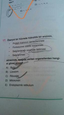 lıdır?
A) +, +, --
D) -+, +
E)--
17. Ökaryot bir hücrede hidrolitik bir enzimin,
Protein kısmının sentezlenmesi
Fonksiyonel özellik kazanması.
Salgılanacağı organele iletilmesi
Salgılanması
sürecinde, aşağıda verilen organellerden hangi-
si görev almaz?
A) Golai
B) Lizozom
C) Ribozom
D) Mitokondri
E) Endoplazmik retikulum