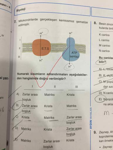 navi - 4
Biyoloji
7. Mitokondrilerde gerçekleşen kemiosmoz şematize
8. Besin zincir
edilmiştir.
kularda biril
K canlısı
L canlısı
M canlısı
||
E.T.S
N canlısı
ATP
II
sentaz
Bu canlılar
H*
bilir?
H*
AL, fotose
Numaralı kışımların adlandırmaları aşağıdakiler