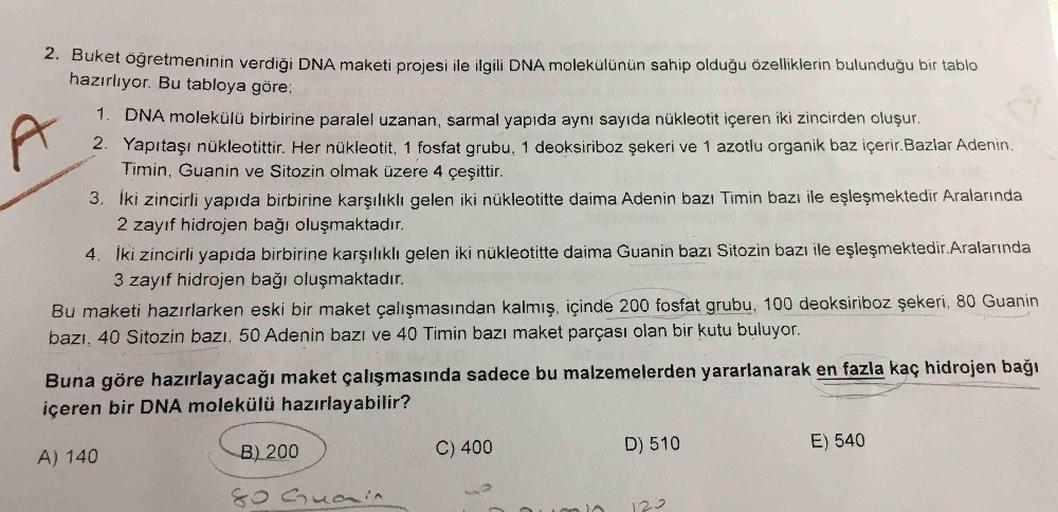 2. Buket öğretmeninin verdiği DNA maketi projesi ile ilgili DNA molekülünün sahip olduğu özelliklerin bulunduğu bir tablo
hazırlıyor. Bu tabloya göre;
1. DNA molekülü birbirine paralel uzanan, sarmal yapıda aynı sayıda nükleotit içeren iki zincirden oluşur