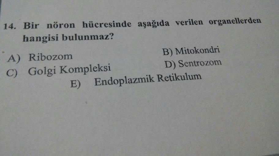 14. Bir nöron hücresinde aşağıda verilen organellerden
hangisi bulunmaz?
A) Ribozom
B) Mitokondri
C) Golgi Kompleksi
D) Sentrozom
E) Endoplazmik Retikulum
