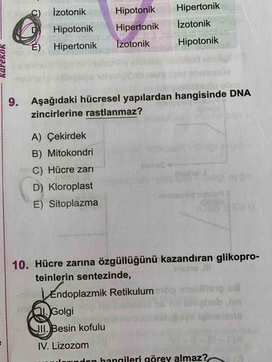 İzotonik
Hipotonik
Hipertonik
Hipertonik
Izotonik
Hipotonik
E) Hipertonik
Izotonik
Hipotonik
YOYAJDY
Welated
9. Aşağıdaki hücresel yapılardan hangisinde DNA
zincirlerine rastlanmaz?
A) Çekirdek
B) Mitokondri
C) Hücre zari
D) Kloroplast
E) Sitoplazma
10. Hü