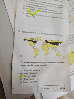 syonundan
l as
yamacı boyunca bitki örtüsünün geniş, karışık
ve iğne yaprakli olmak üzere kuşaklar oluşturmasında
temel etken yağış miktardır.
C) Kaktüslerin kök sistemleri oldukça gelişmiştir.
D) Bir bölge bitki örtüsü çeşitliliğinin fazla olmasında iklim
etkilidir.
E) Musol yağmur ormanları yılın belli döneminde yaprak
döker
e
LIINI
12. Aşağıdaki haritada koyu renkle bazı bölgeler gösterilmiştir.
dan zen
narile
kaplı ye
üsüyle
a
Bu bölgelerde aşağıdaki ağaç formasyonuna ait orman-
lardan hangileri geniş yer tutar?
ortam
abilir?
A) Kızılçam -fistikçamı
B) Kayin - kestane
C) Sarıçam - ladin
D) Sığla - ardıç
E) Meşe - kızılçam
4
O Doğru
Yanlış
